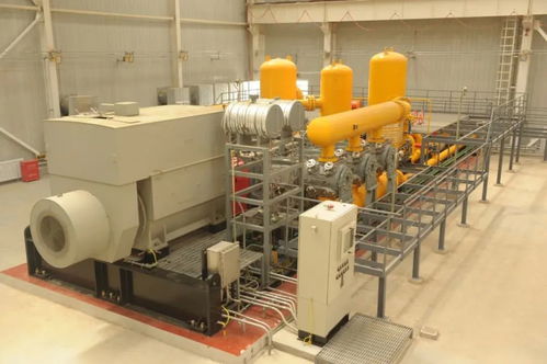 中国石油济柴动力 地下储气库大功率注气压缩机组 产品通过鉴定